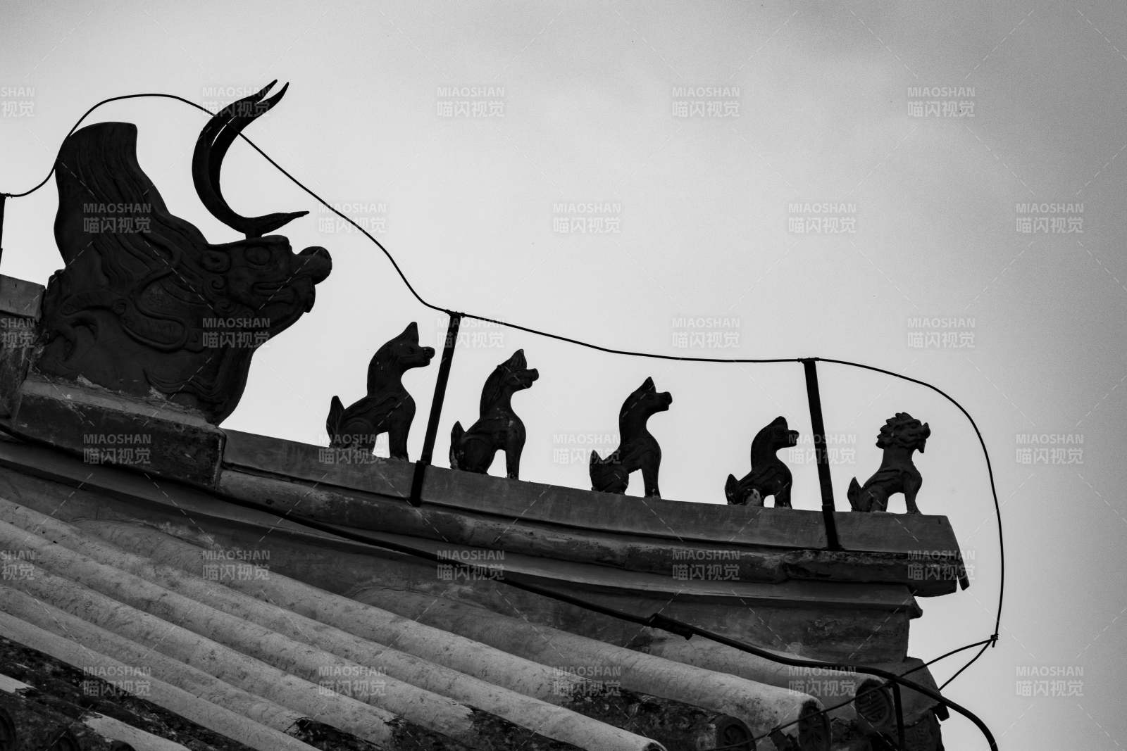 屋脊神獸靜默守望