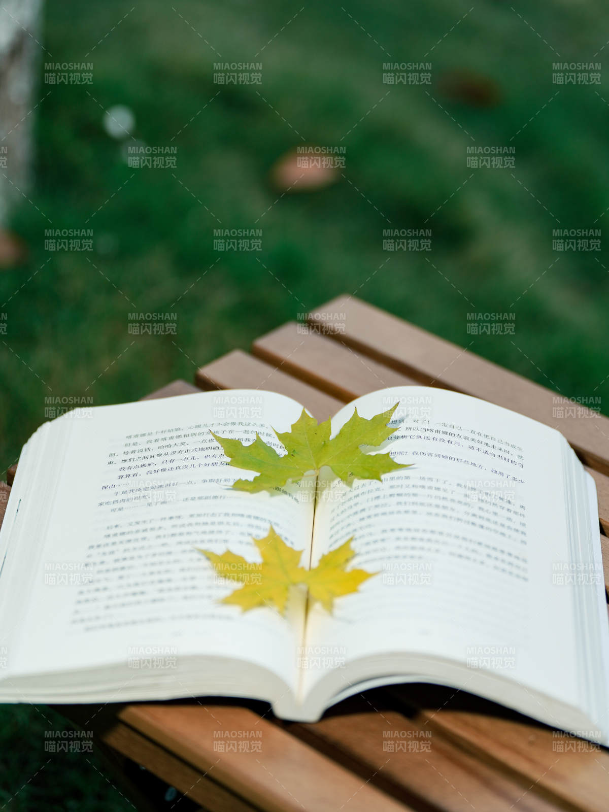 秋葉書頁靜謐時光