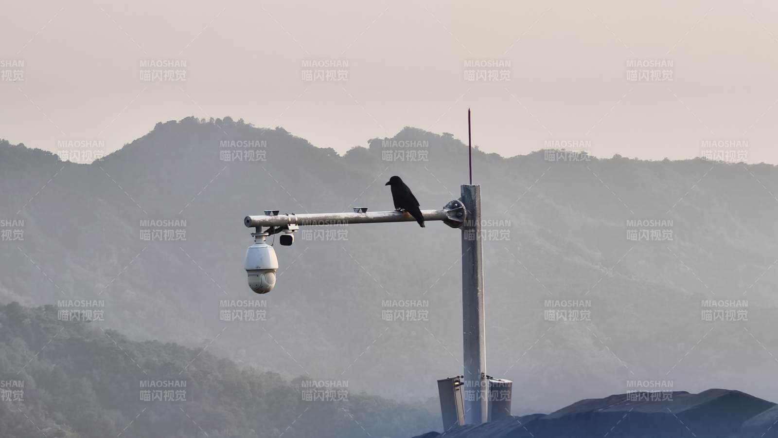 山間監(jiān)控上的烏鴉
