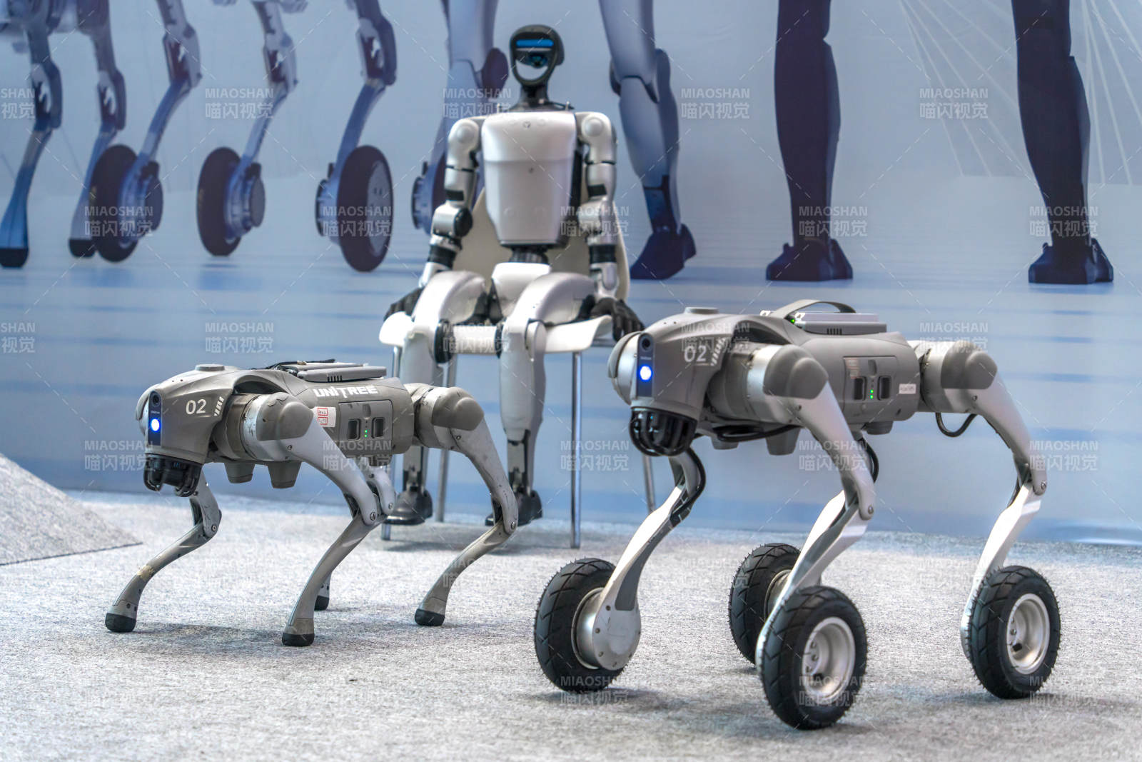 機器人與機械狗展示