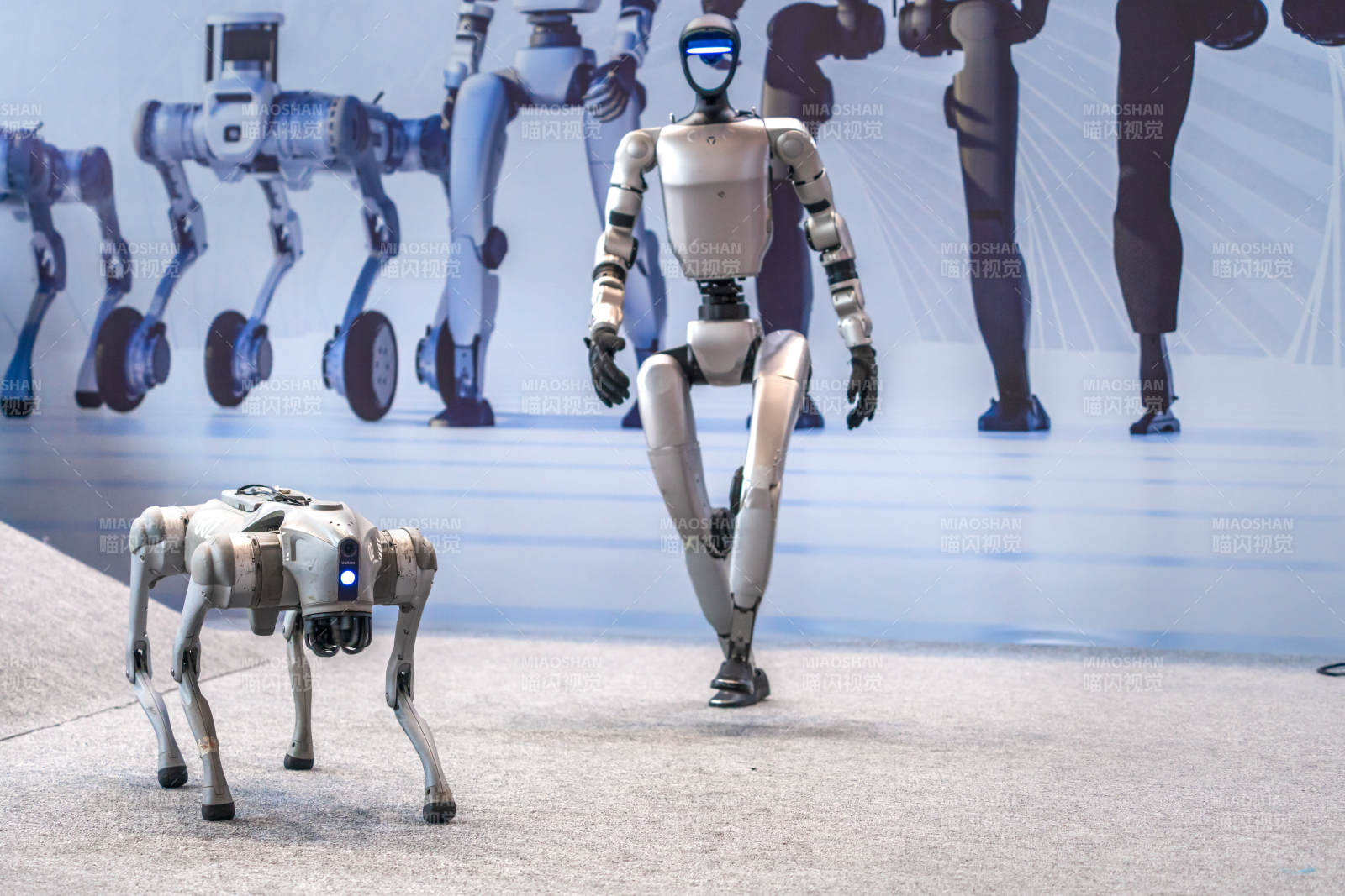 機器人共舞未來