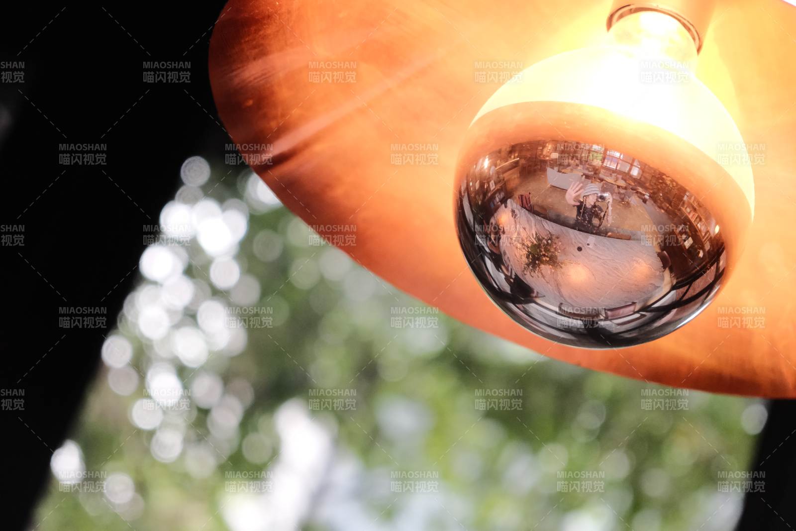 燈泡映景