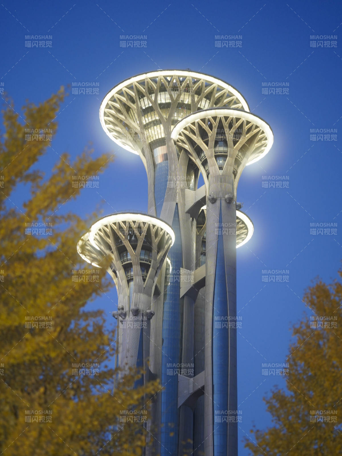 奥运塔夜景