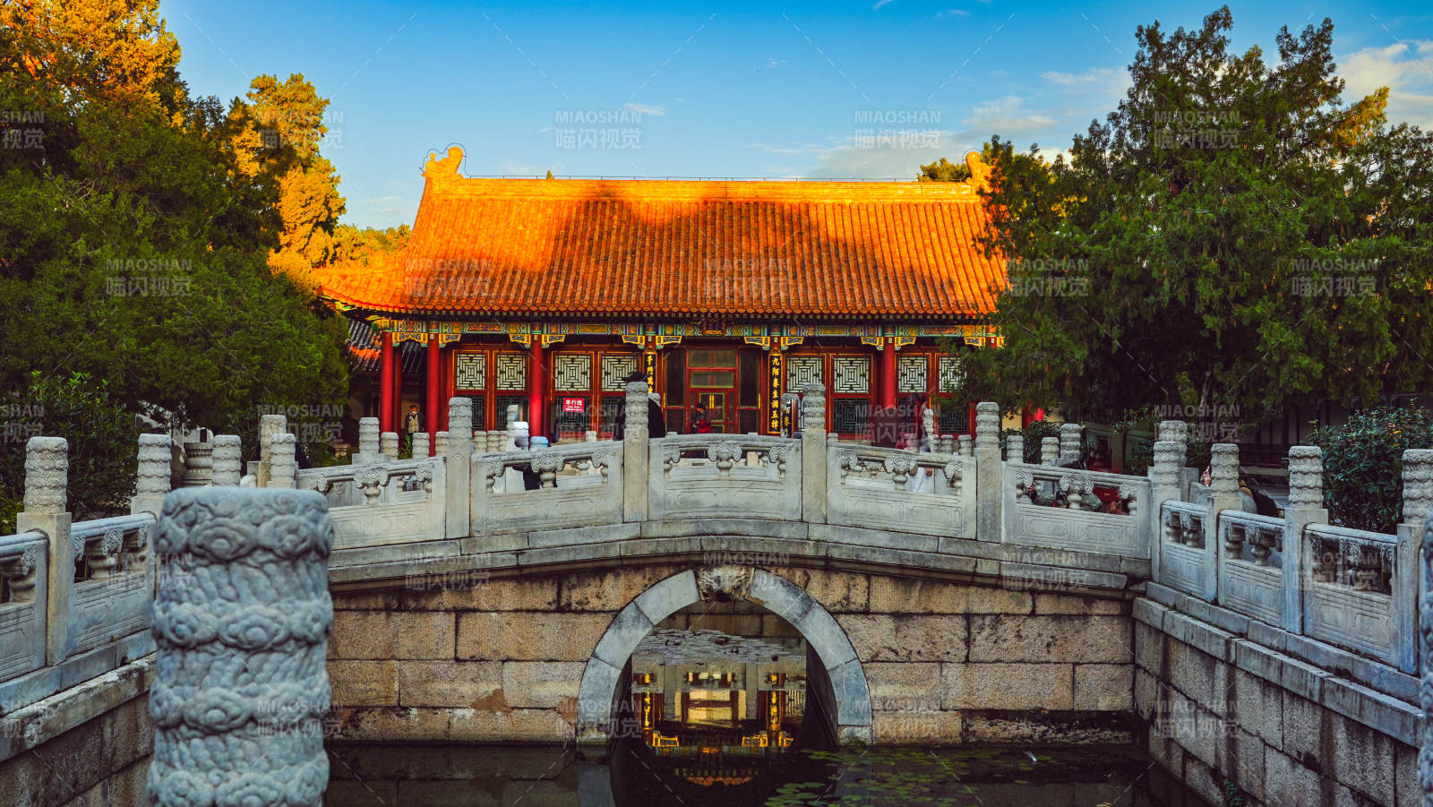 頤和園古橋映碧水 殿閣沐金光