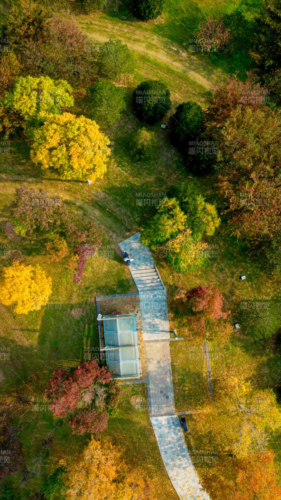 秋日公園俯瞰圖