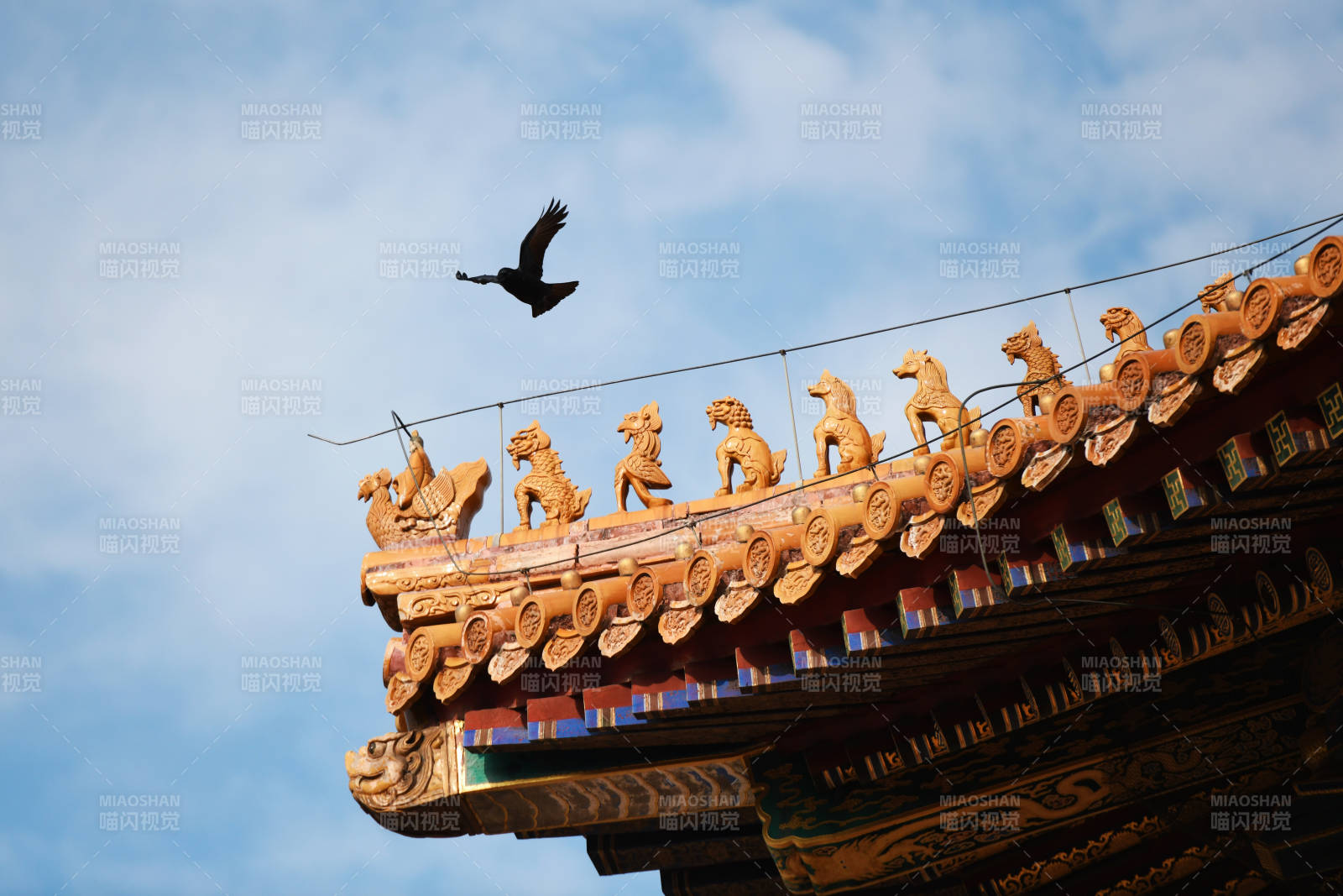 飞鸟掠过古檐脊兽