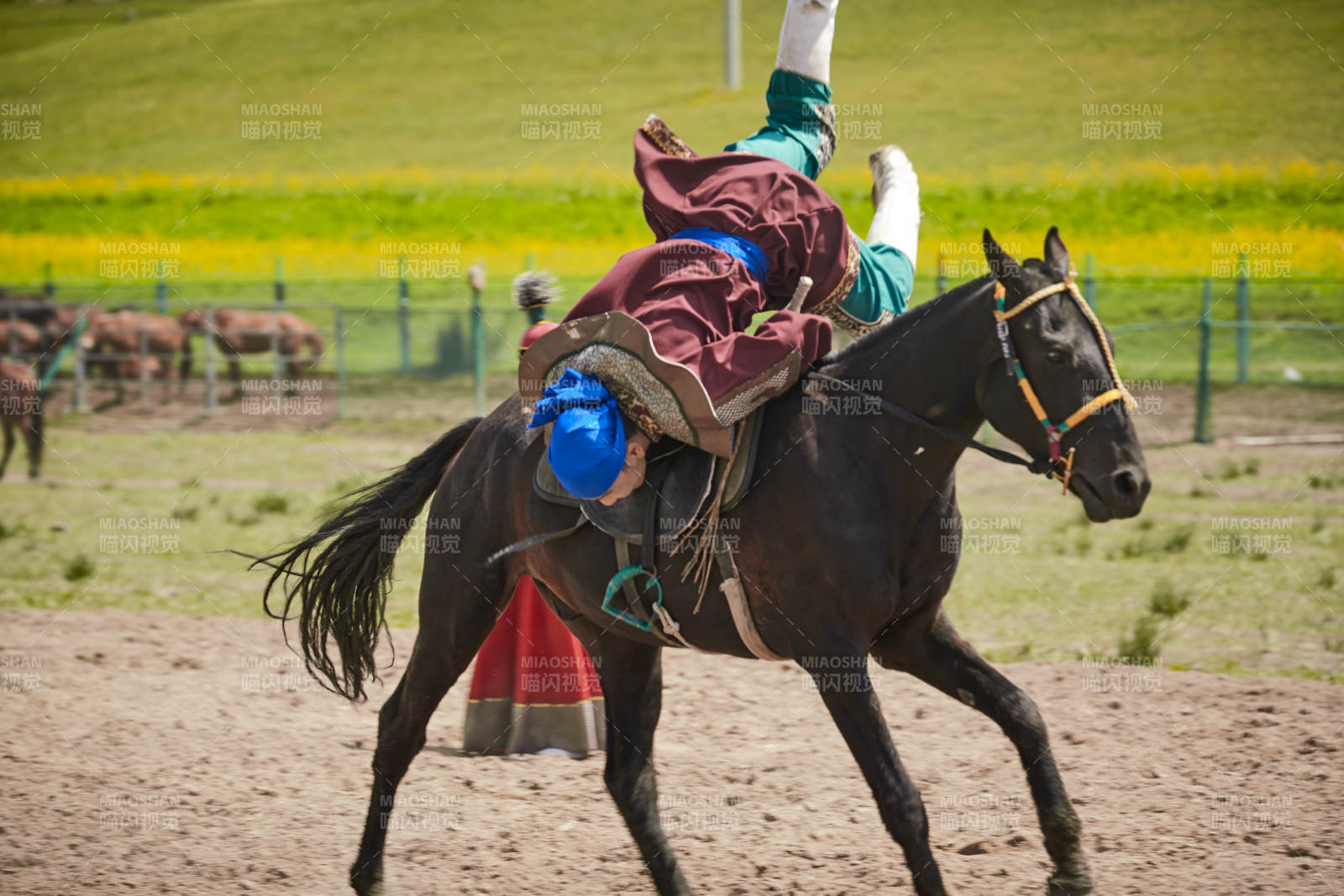 河北省沽源縣庫倫淖爾景區的蒙古馬術表演