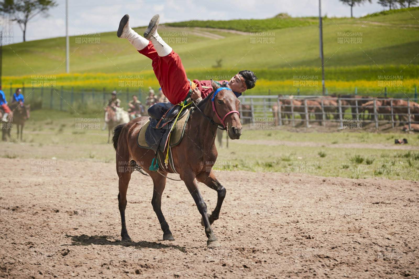 河北省沽源縣庫倫淖爾景區的蒙古馬術表演