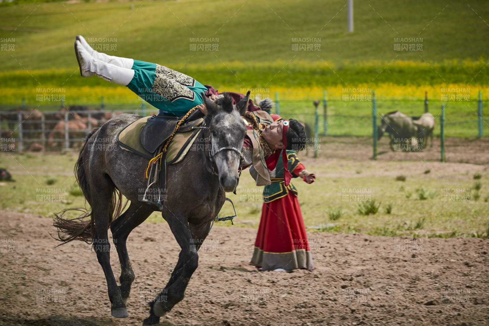 河北省沽源縣庫倫淖爾景區的蒙古馬術表演