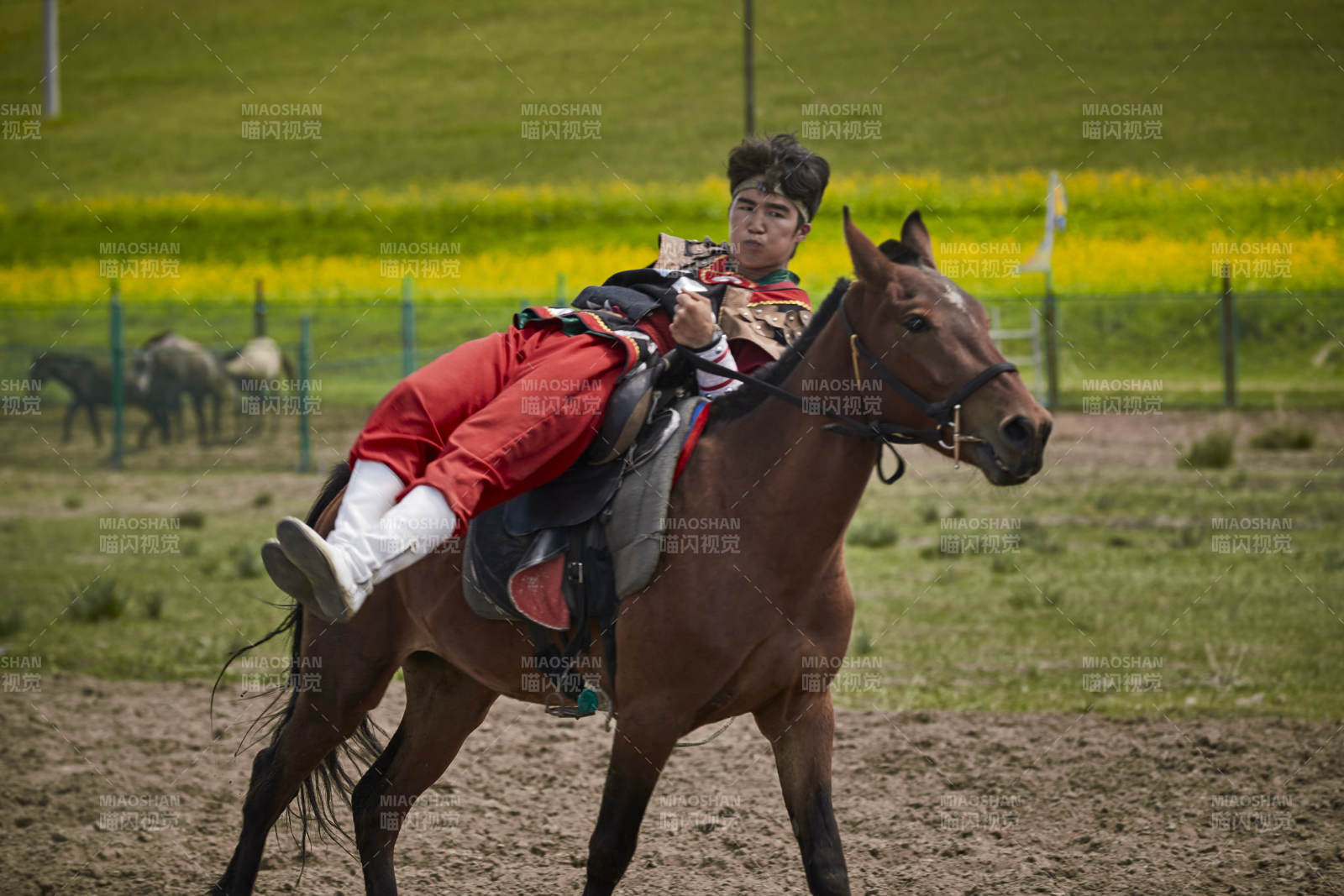 河北省沽源縣庫倫淖爾景區(qū)的蒙古馬術表演