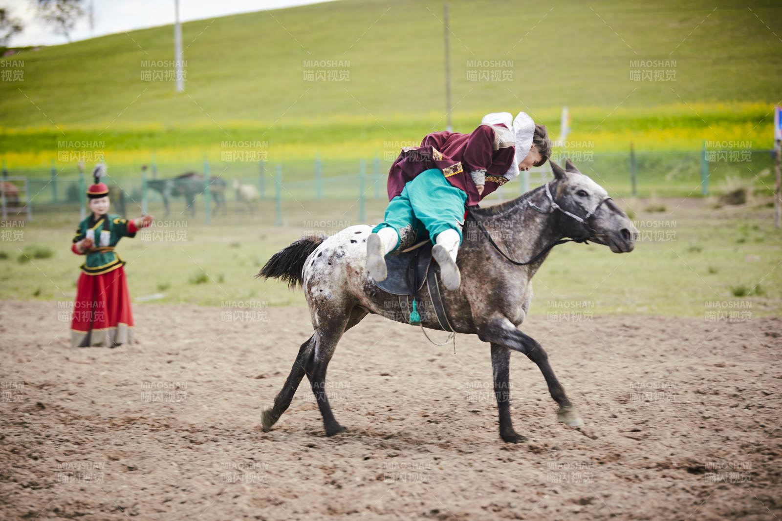 河北省沽源縣庫倫淖爾景區的蒙古馬術表演