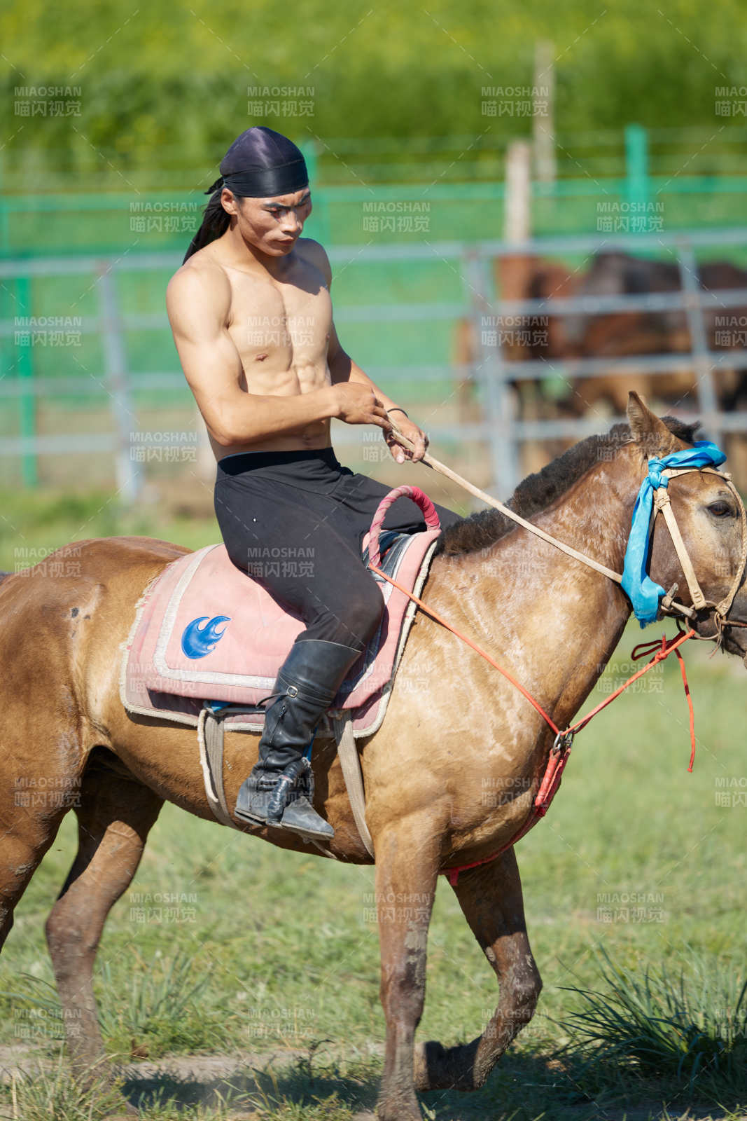 在草原景区练习骑马马术的蒙古族演员