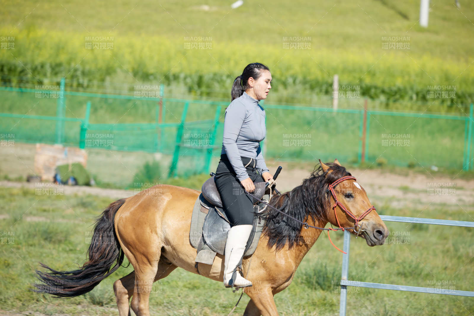 在草原景区练习骑马马术的蒙古族演员