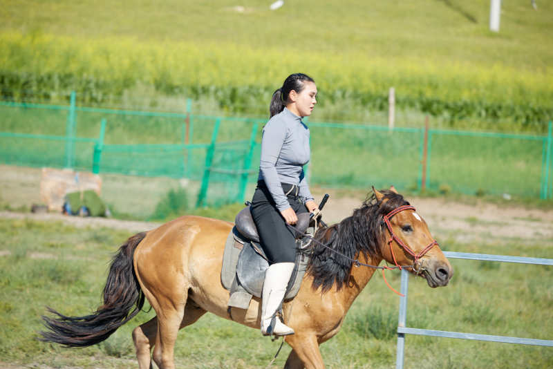 在草原景区练习骑马马术的蒙古族演员