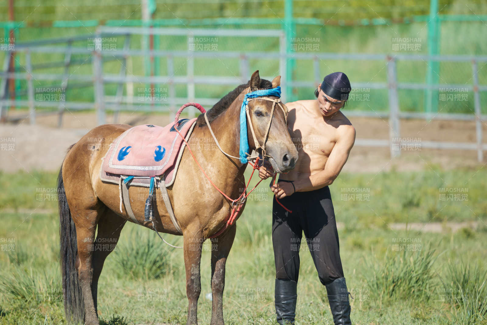 在草原景區練習騎馬馬術的蒙古族演員
