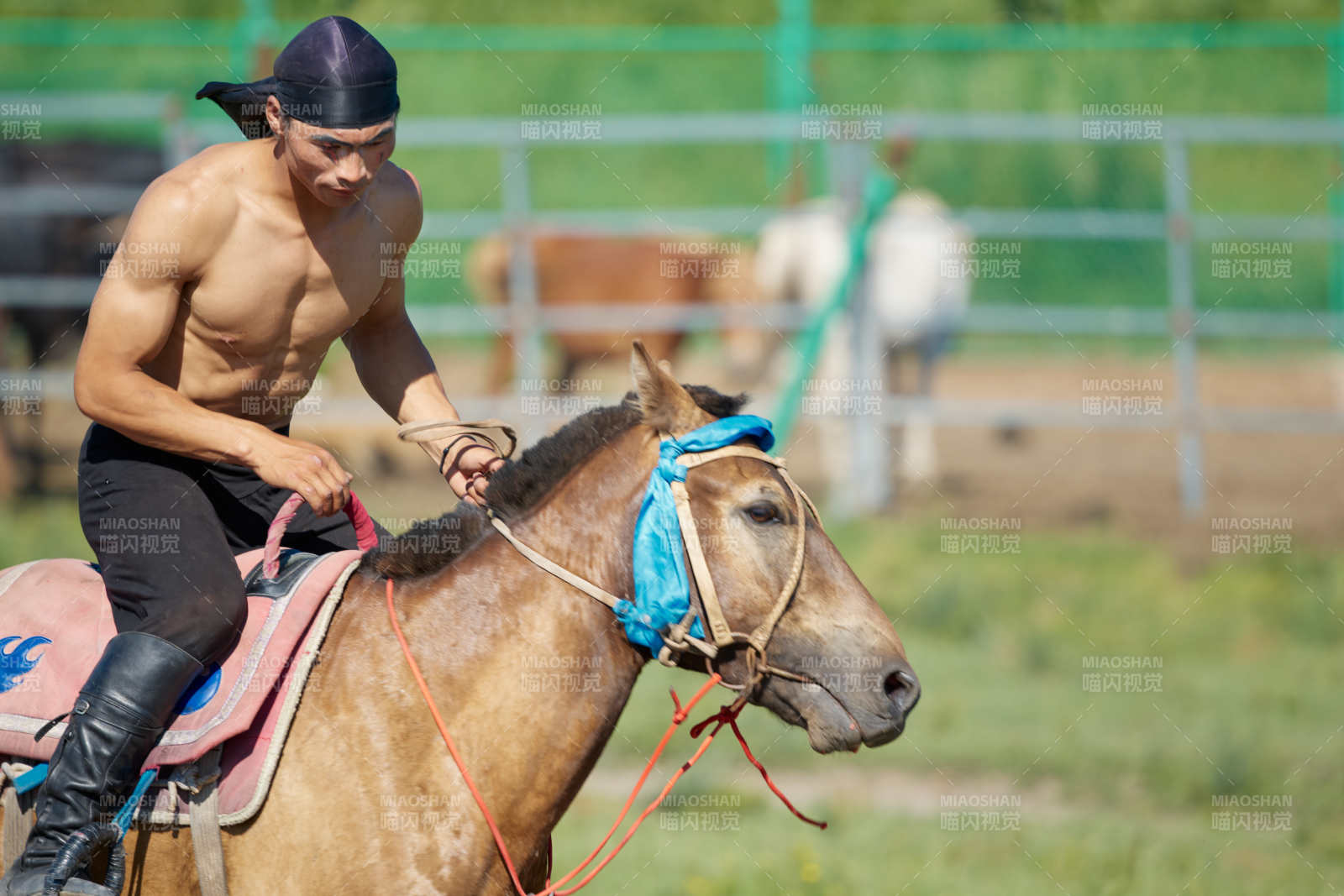 在草原景區(qū)練習(xí)騎馬馬術(shù)的蒙古族演員