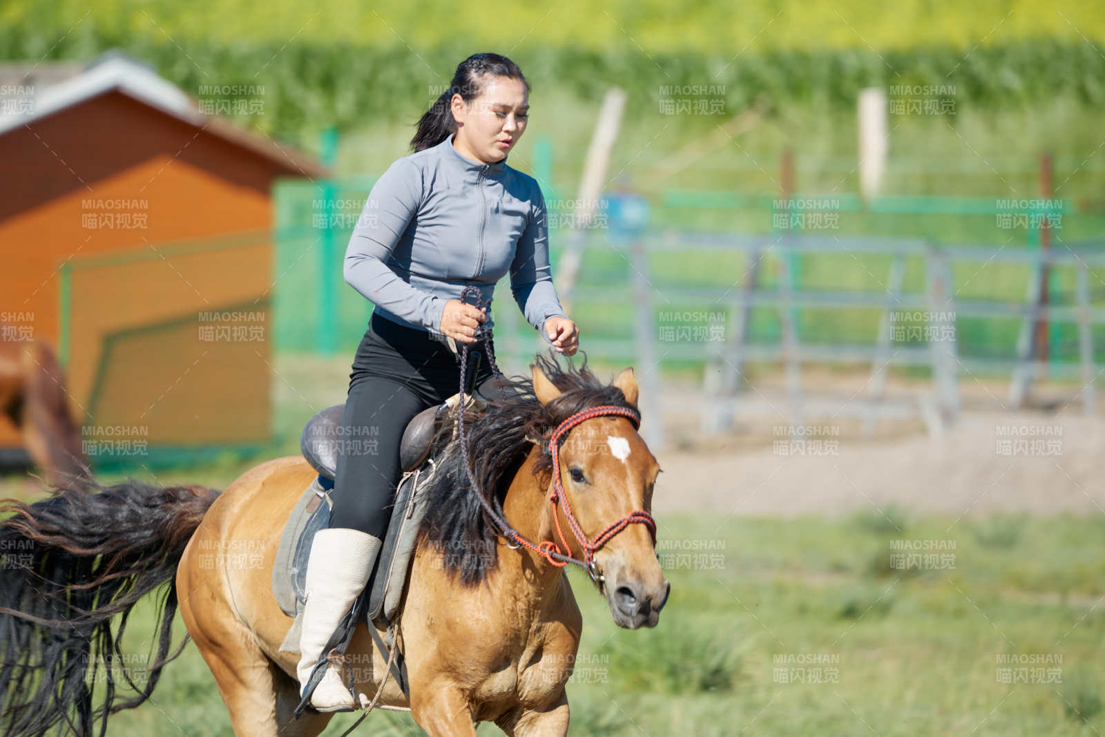 在草原景區(qū)練習(xí)騎馬馬術(shù)的蒙古族演員