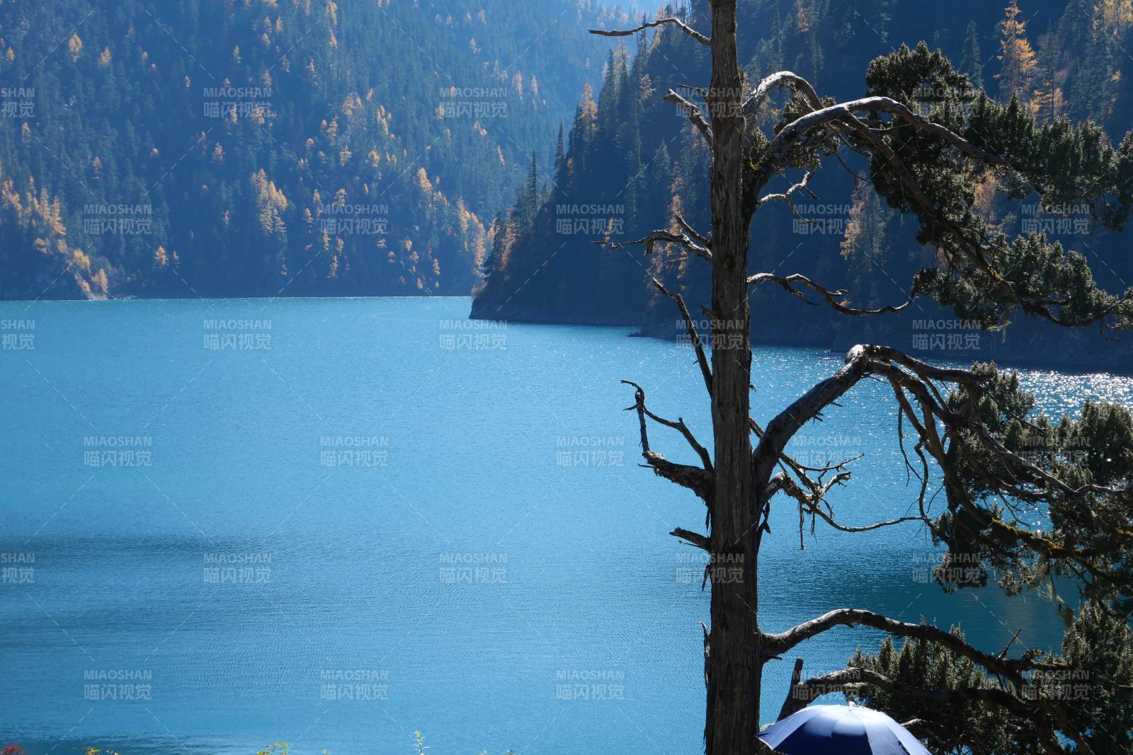 湖光山色 靜謐如畫 九寨溝長海