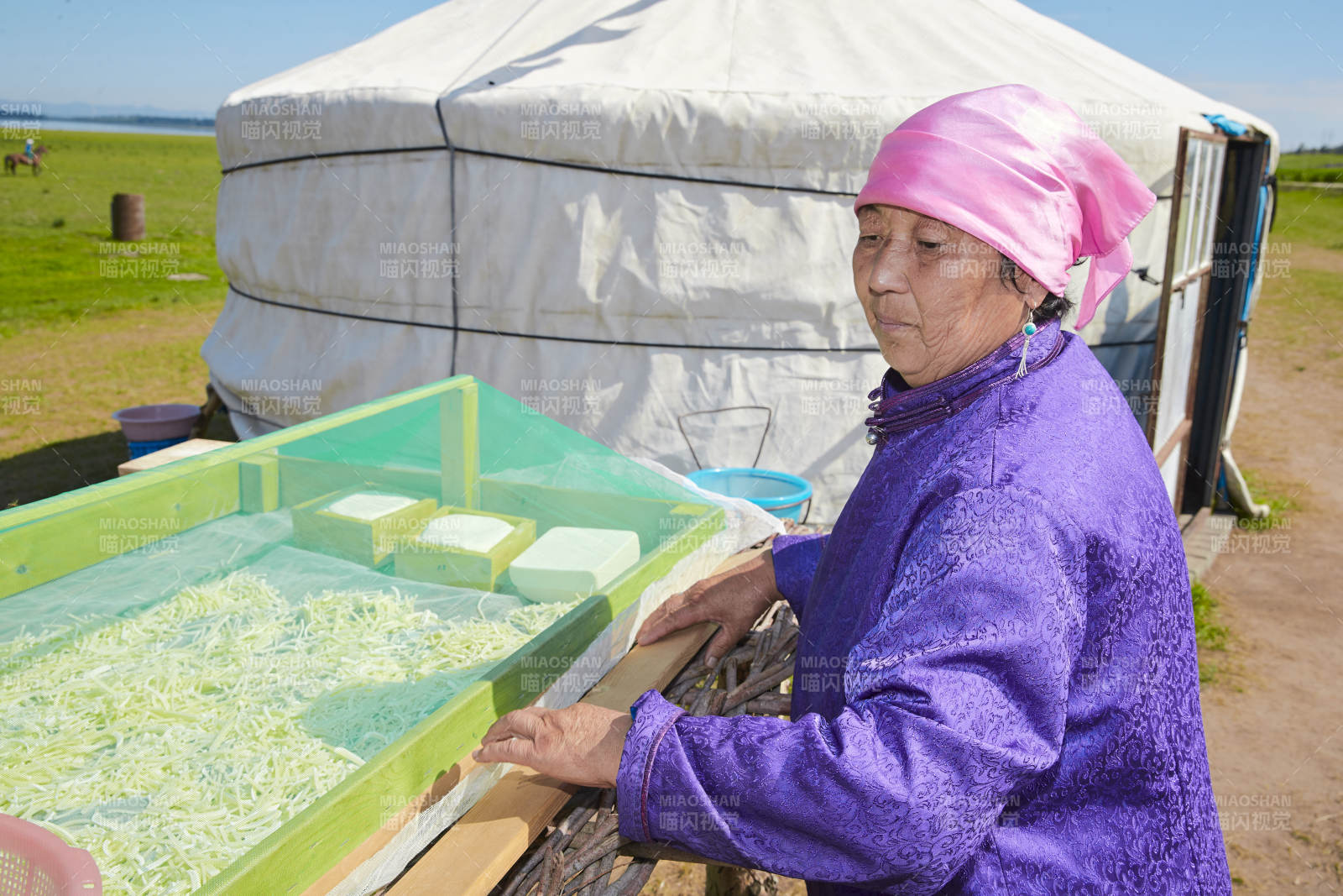 在蒙古包外晾曬奶制品的蒙古族中老年女性