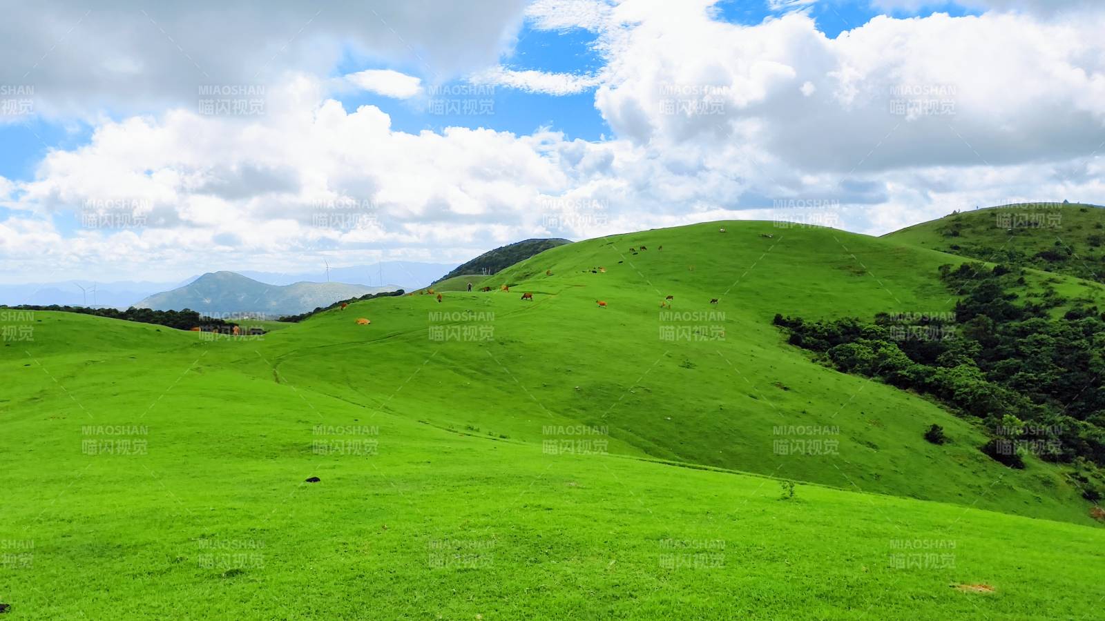 大姆山草原綠野青山云影