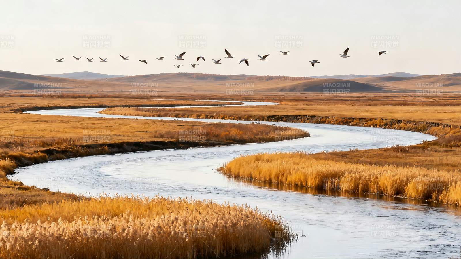 额尔古纳湿地草原