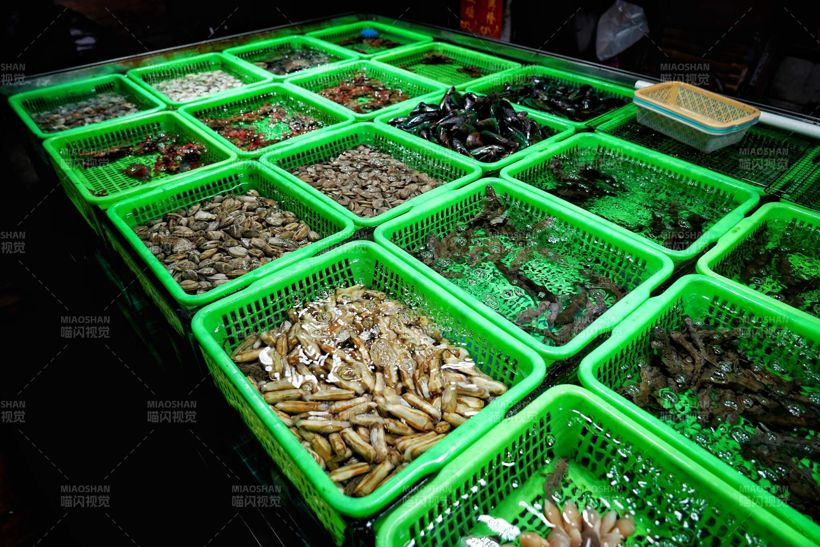 海鲜市场活物展示