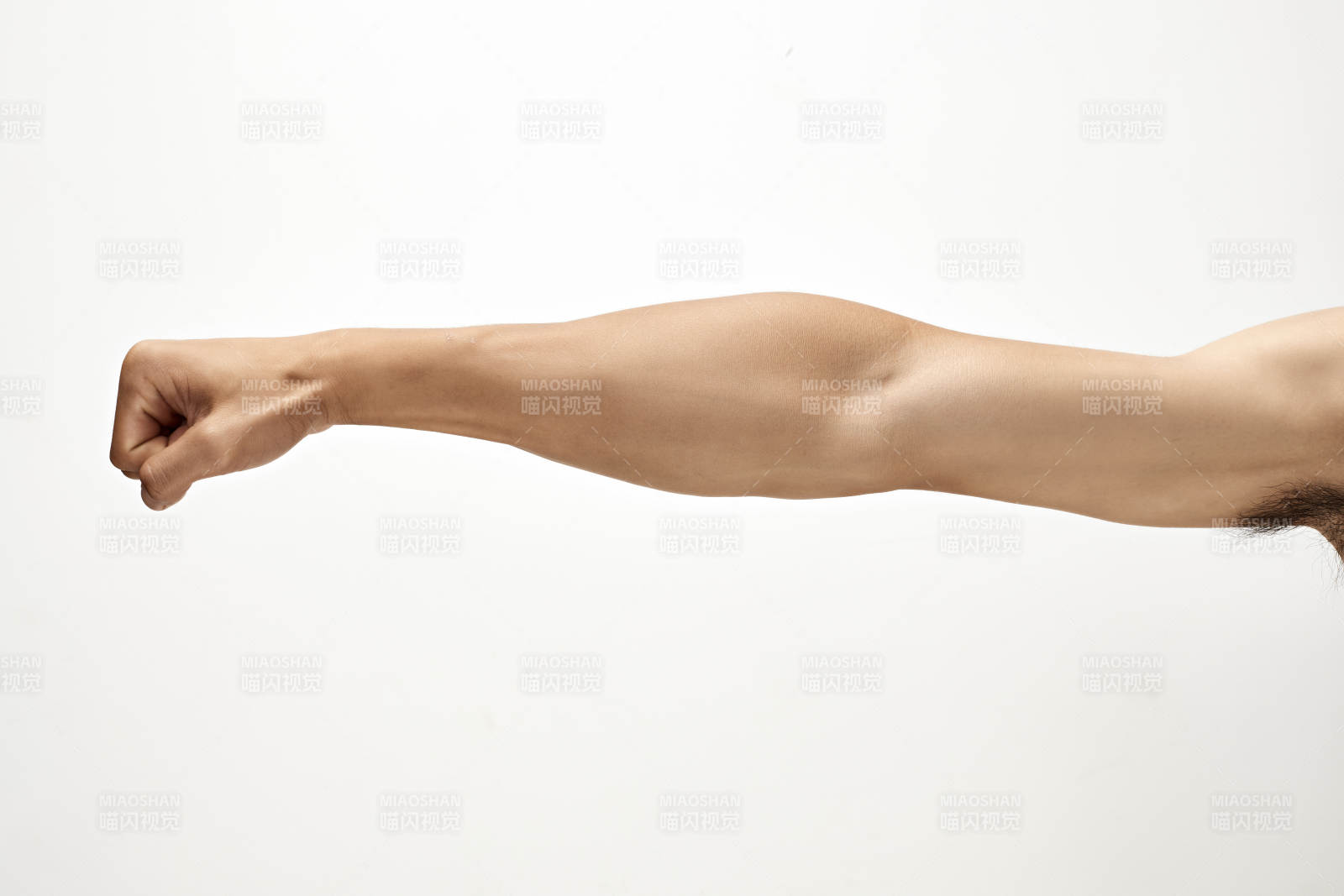 白色背景下的伸展手臂肌肉特寫