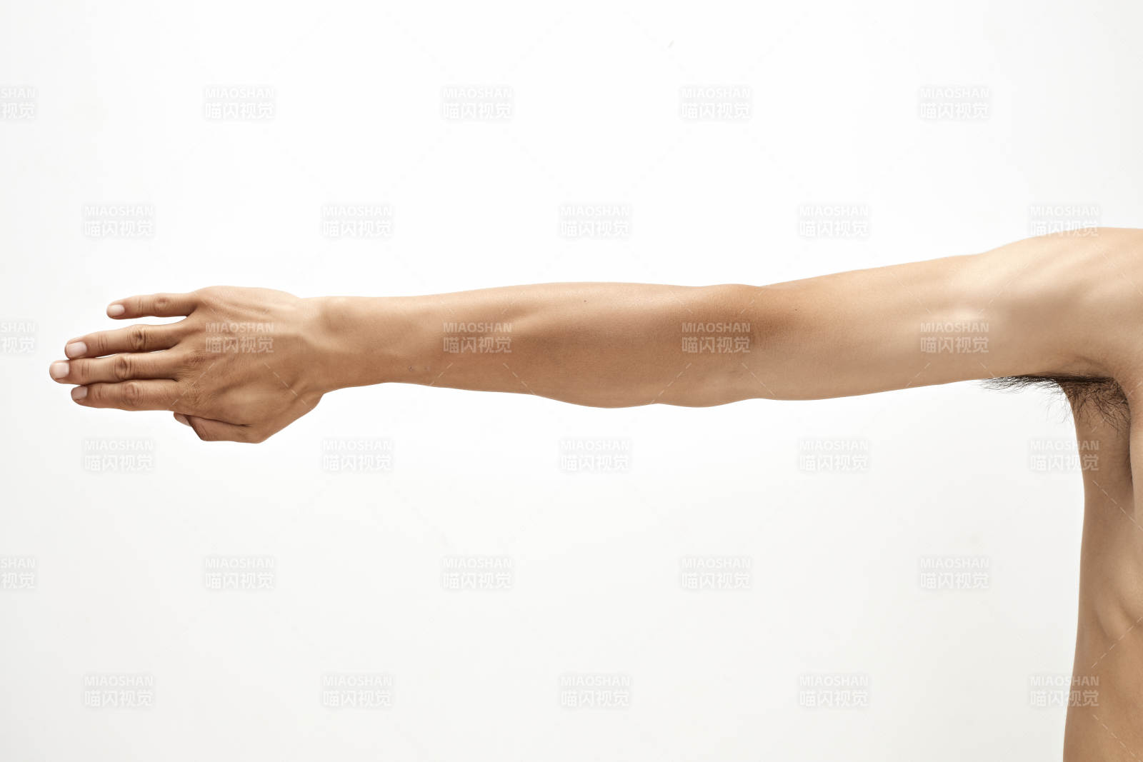 白色背景下的伸展手臂肌肉特寫