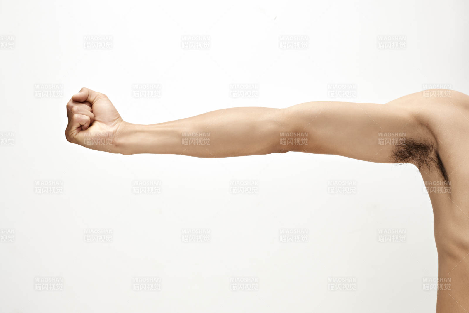 白色背景下的伸展手臂肌肉特寫
