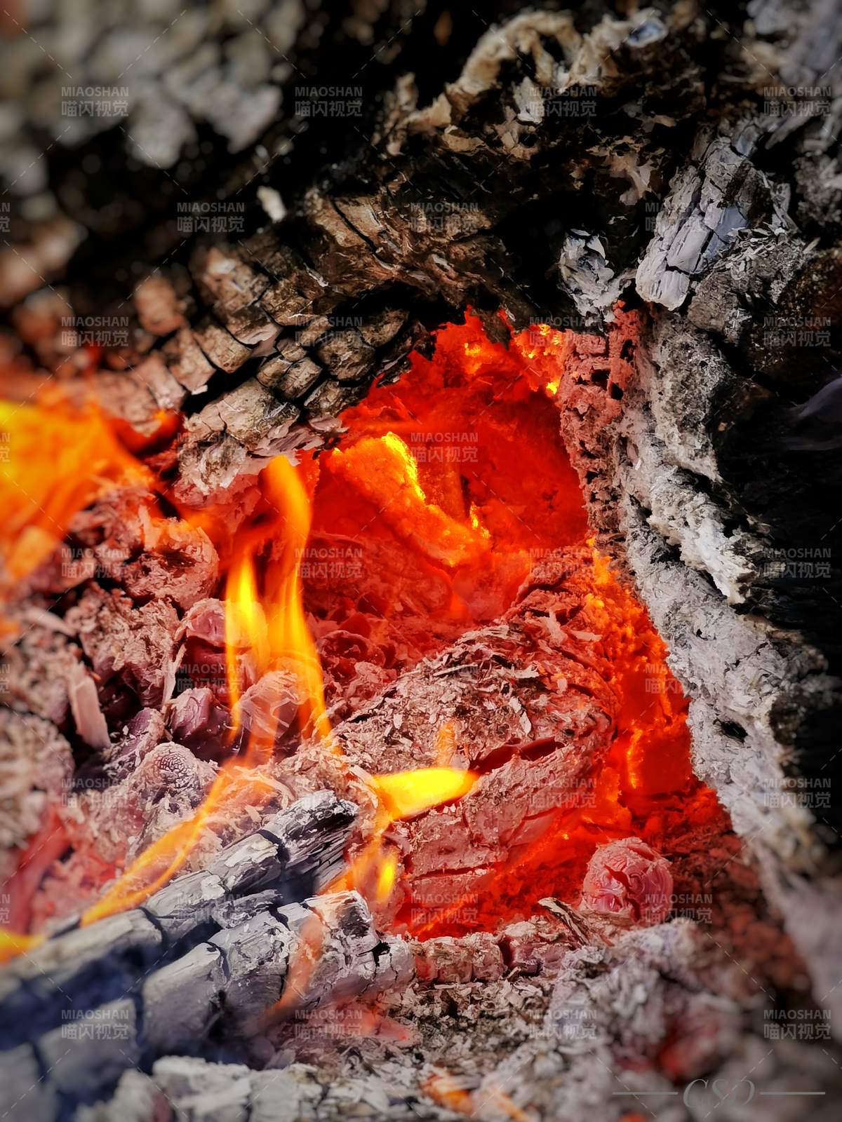 火焰中的木炭
