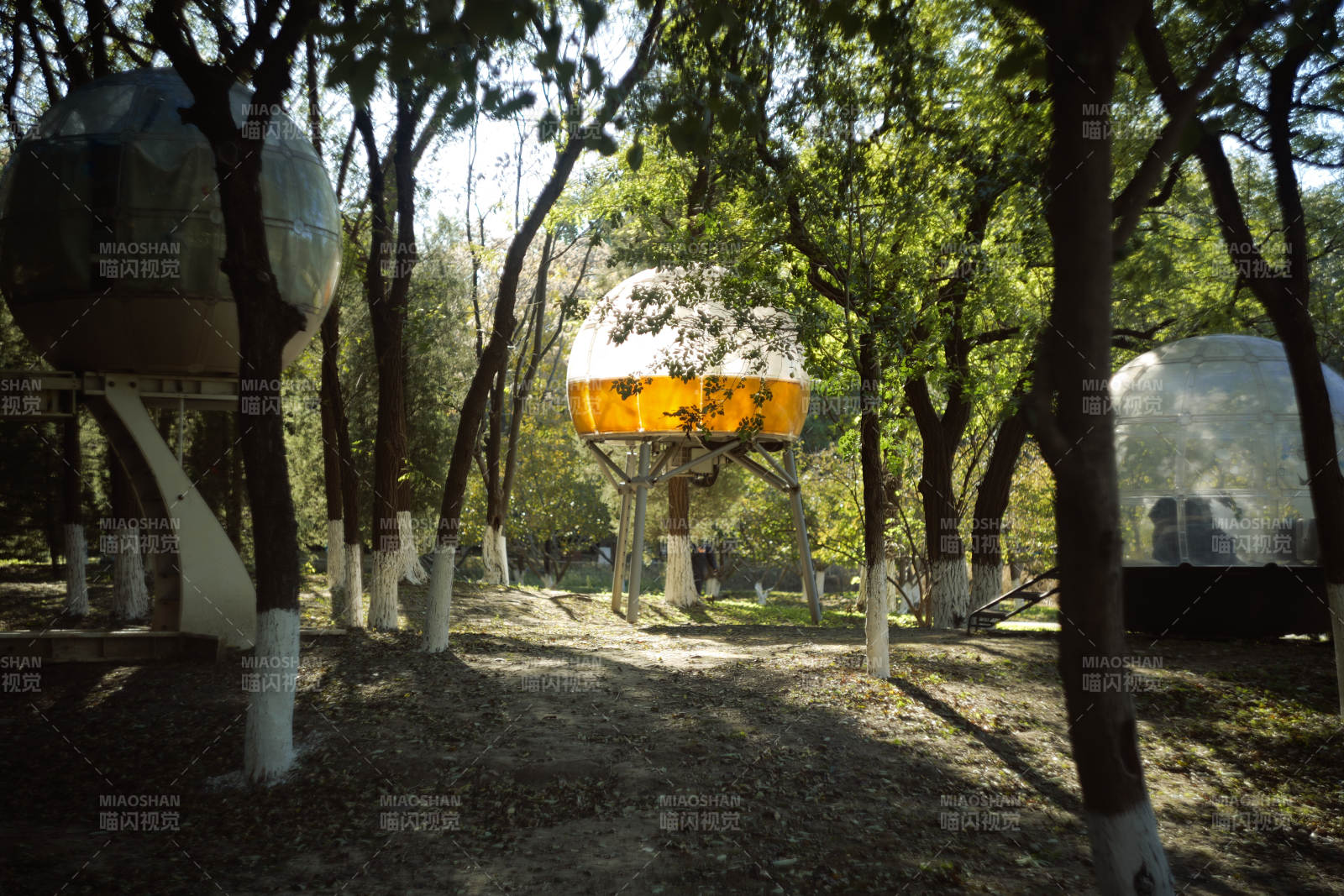 森林中的未來屋