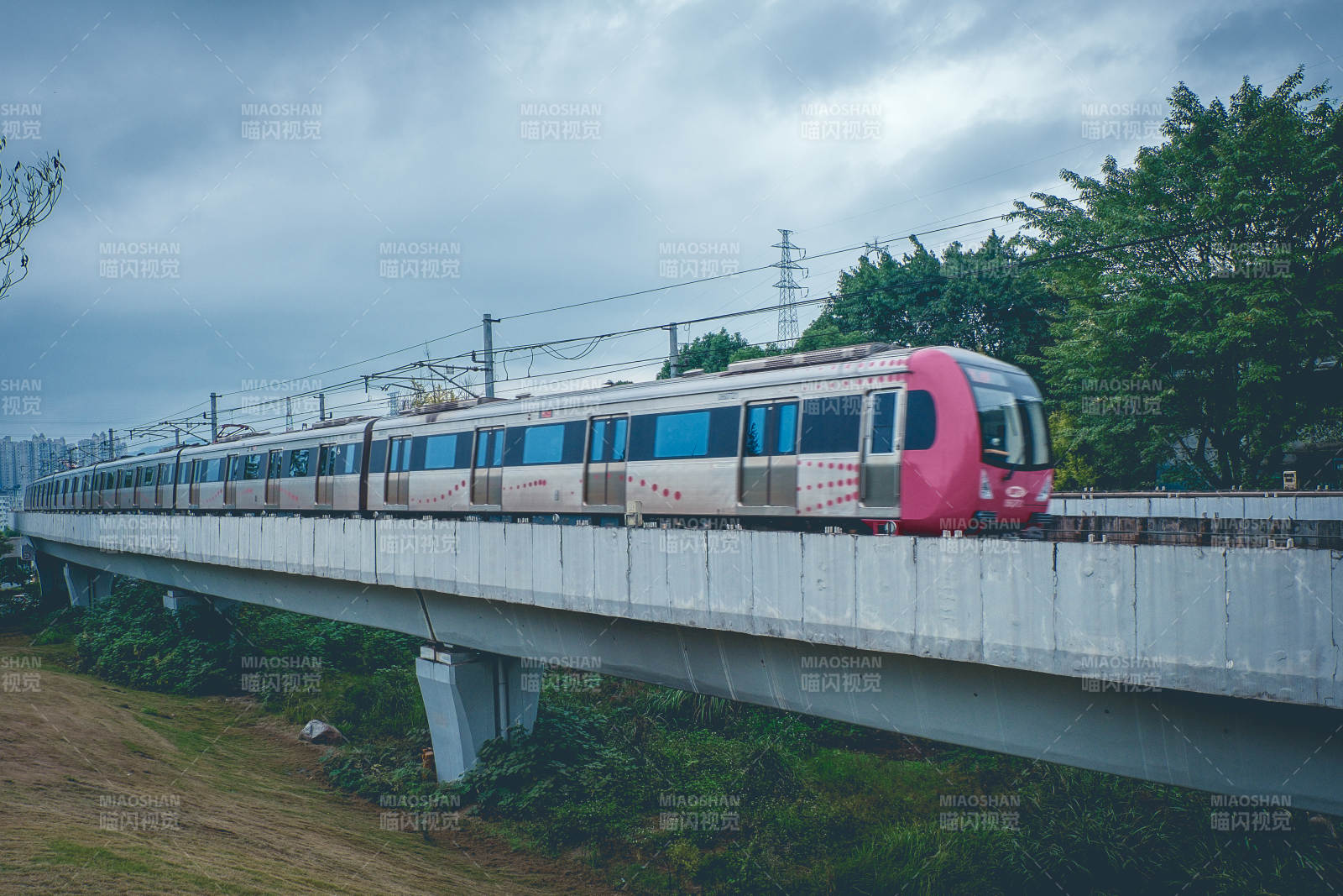 高架輕軌穿行綠意