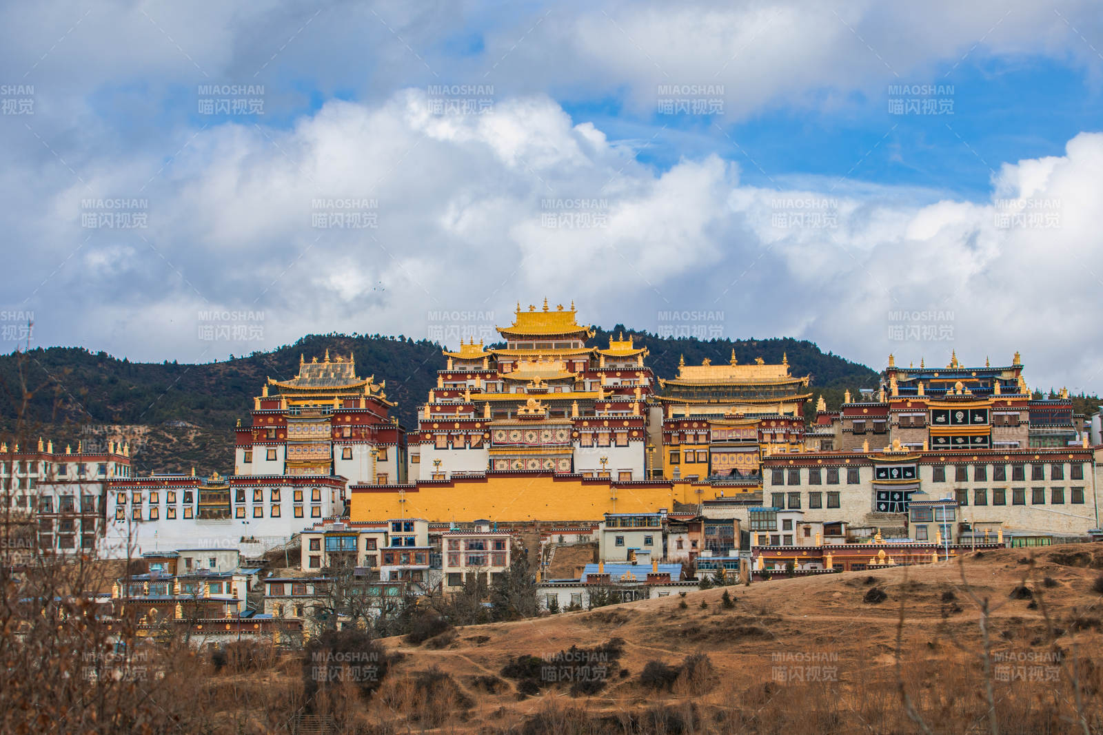 藏式建筑群風光