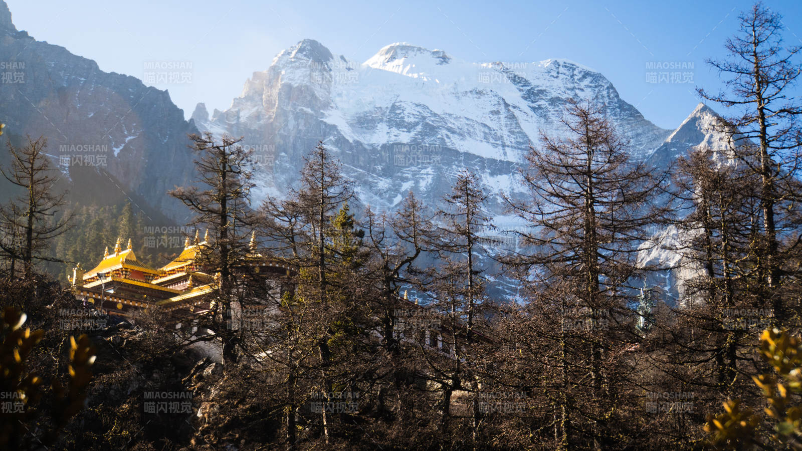 雪山林間金頂寺