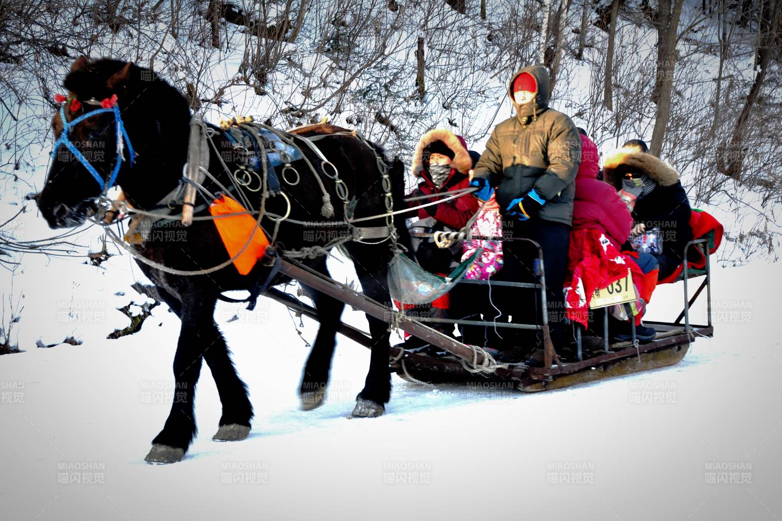 雪地馬車游