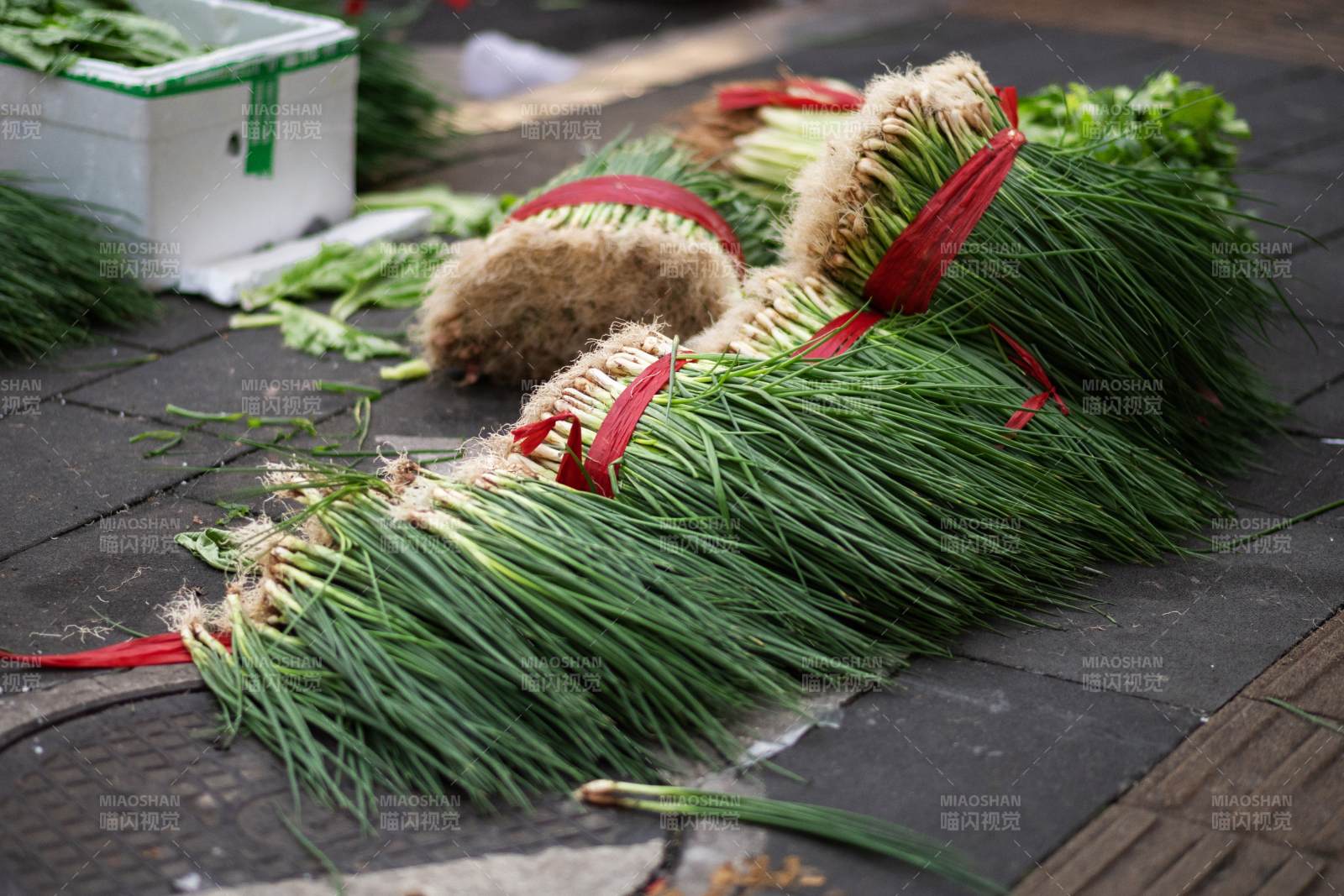 新鮮蔥捆整齊擺放