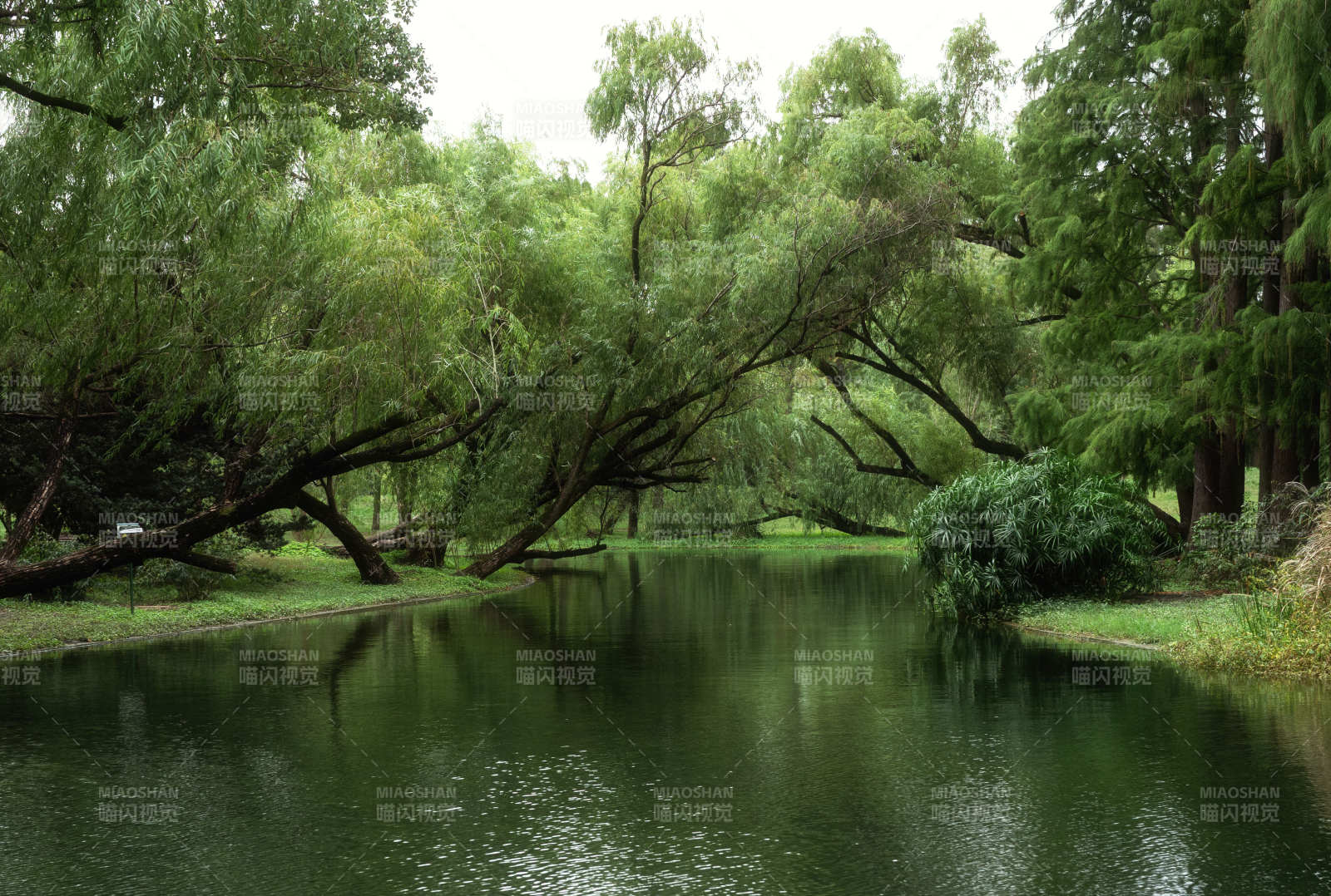 綠樹(shù)成蔭的靜謐河畔
