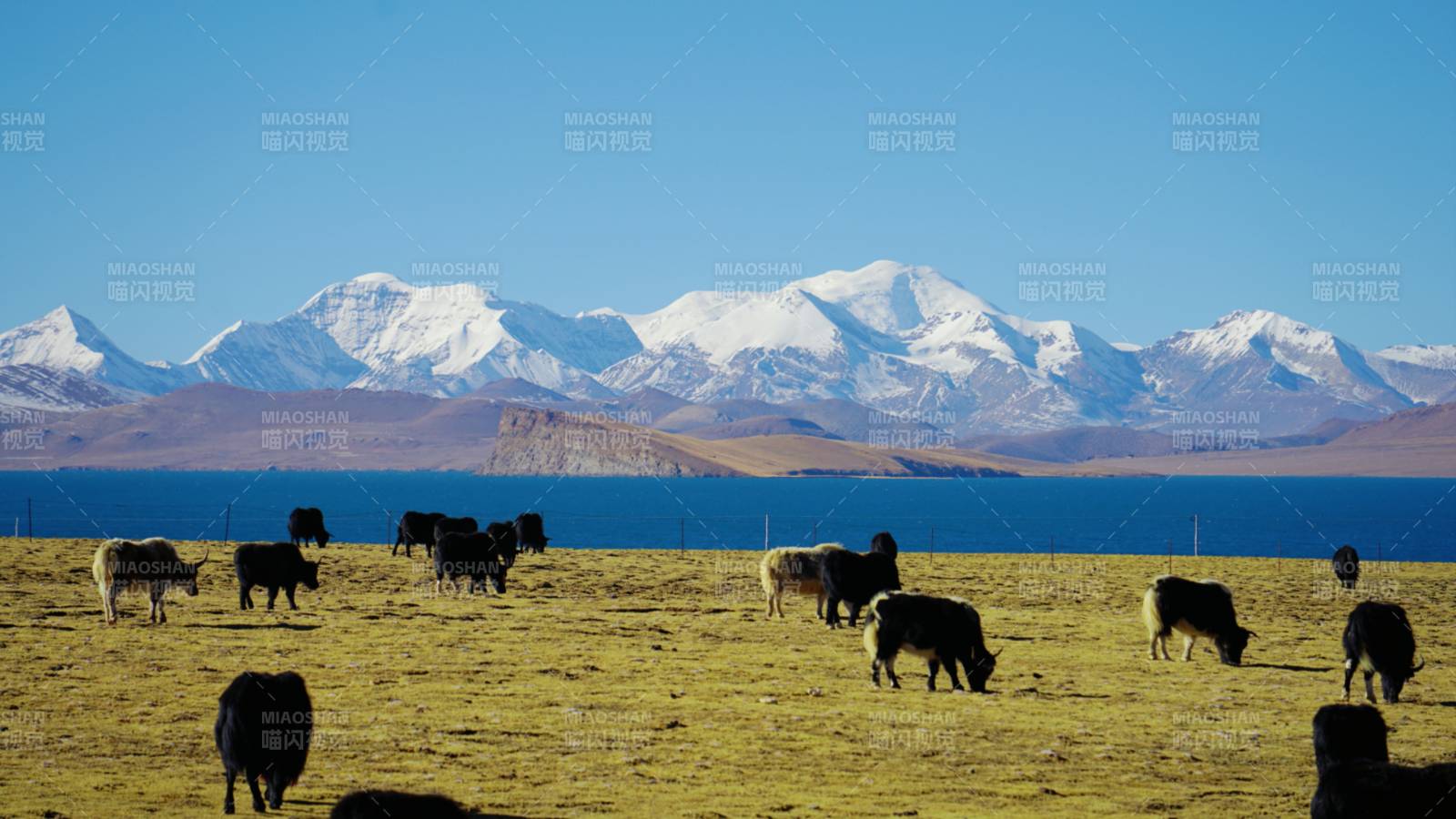 雪山湖畔牧羊圖