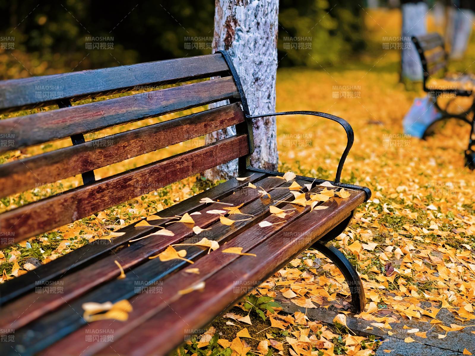 秋日公園長椅