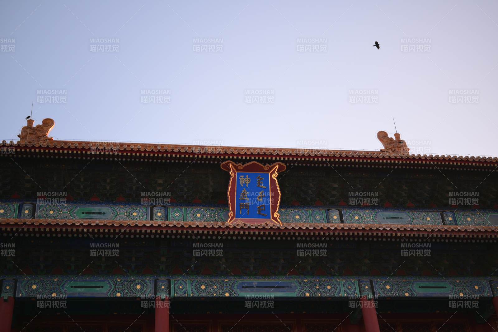 故宮殿宇飛鳥