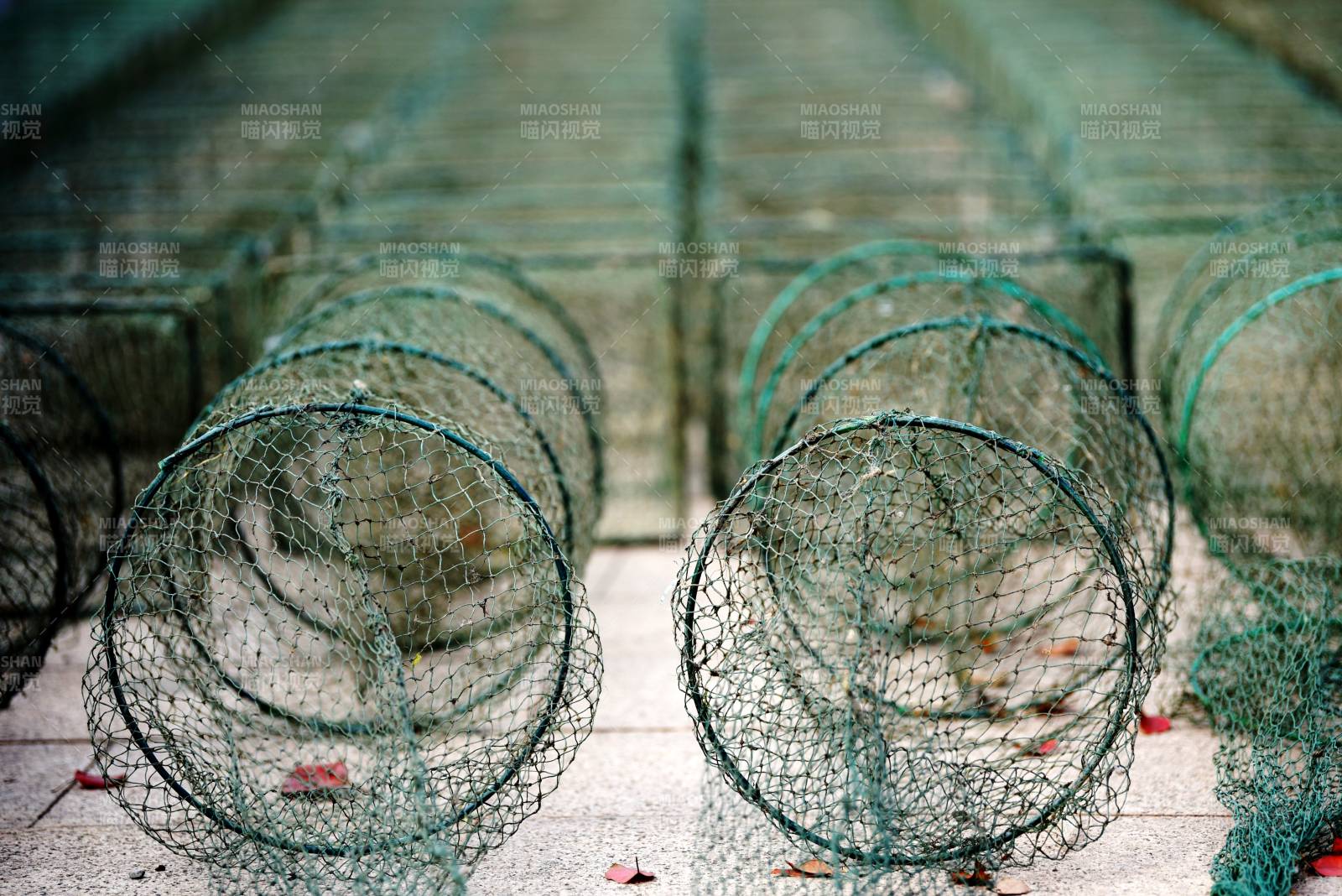 漁網籠子排列整齊