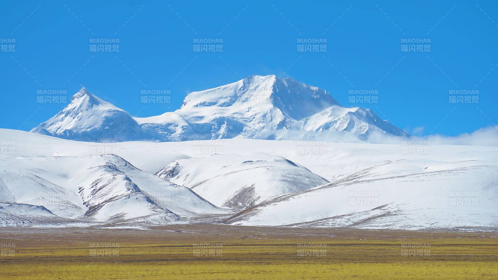 希夏邦馬峰牧場風光