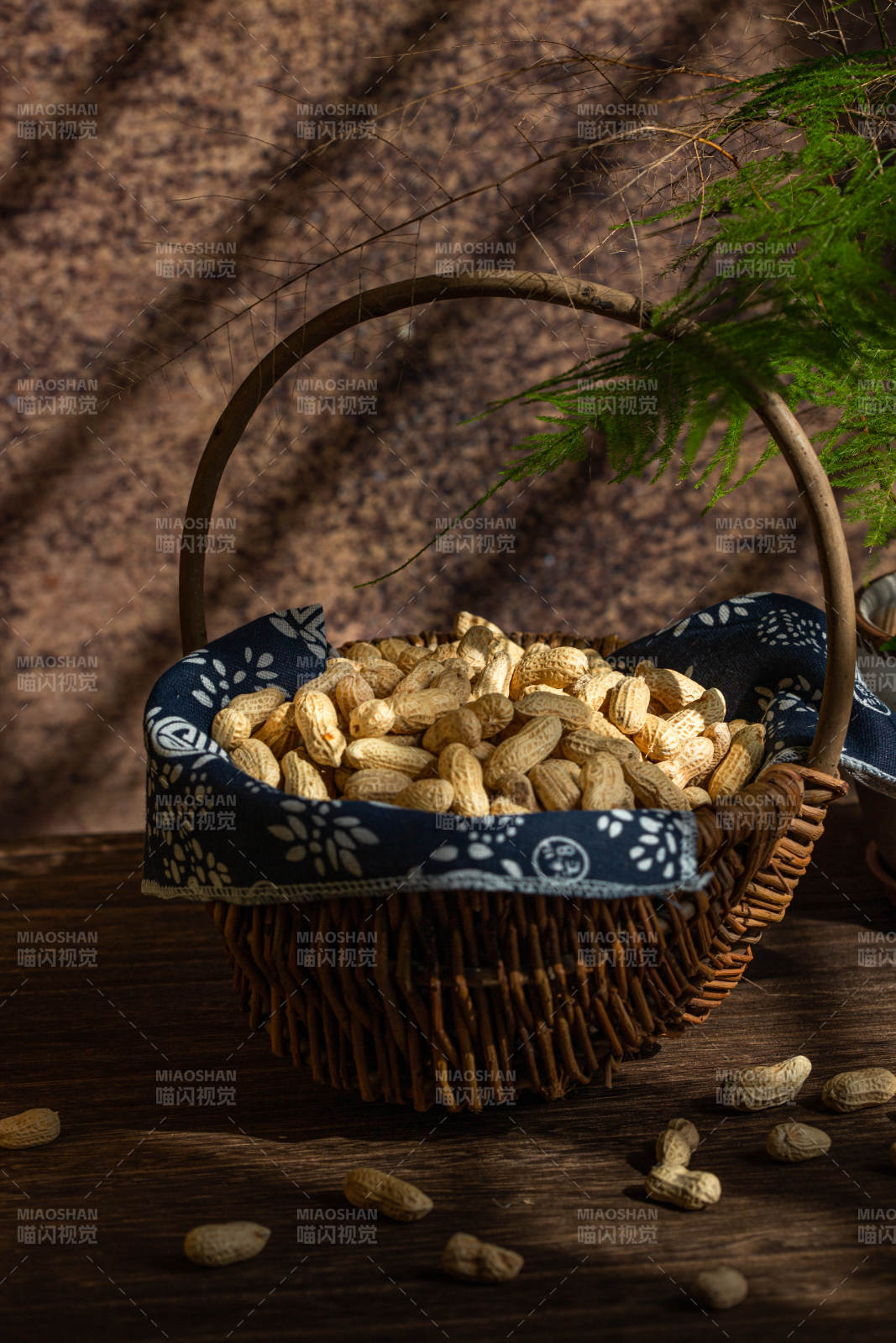 籃中花生靜謐時光