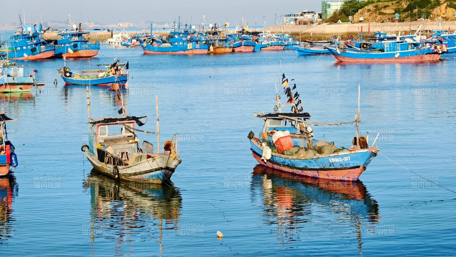 泉州漁港靜泊圖