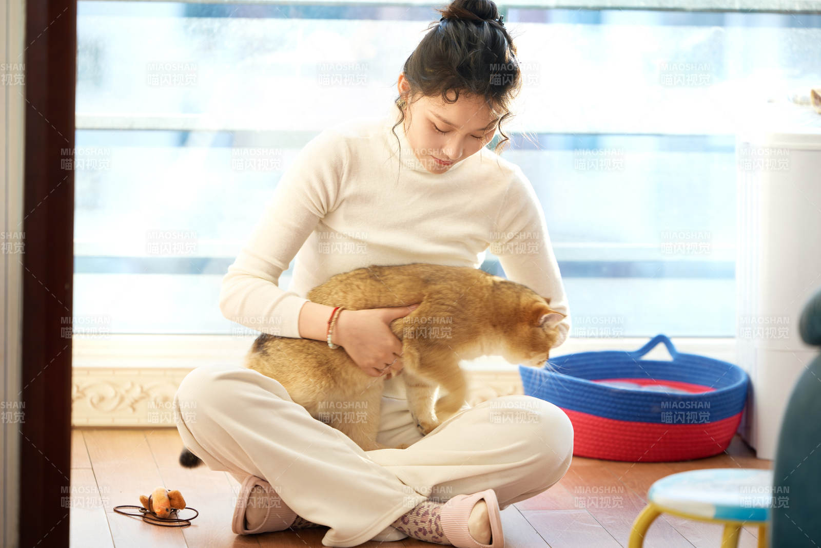 假日在家和貓咪嬉戲的亞洲美女