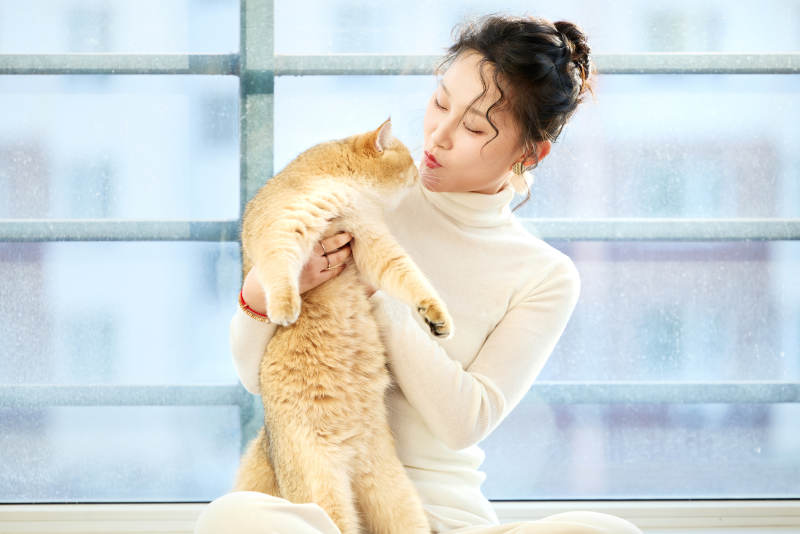 假日在家和猫咪嬉戏的亚洲美女