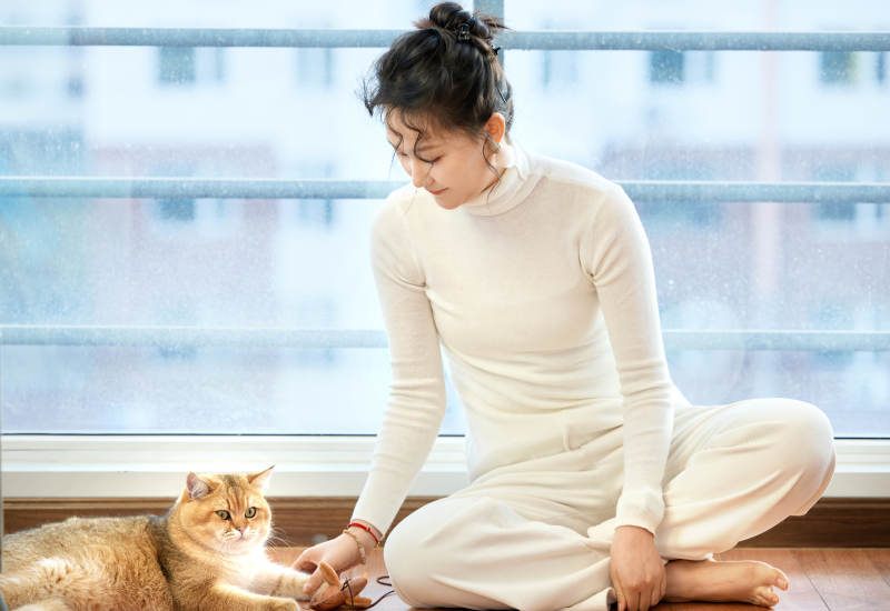 假日在家和猫咪嬉戏的亚洲美女