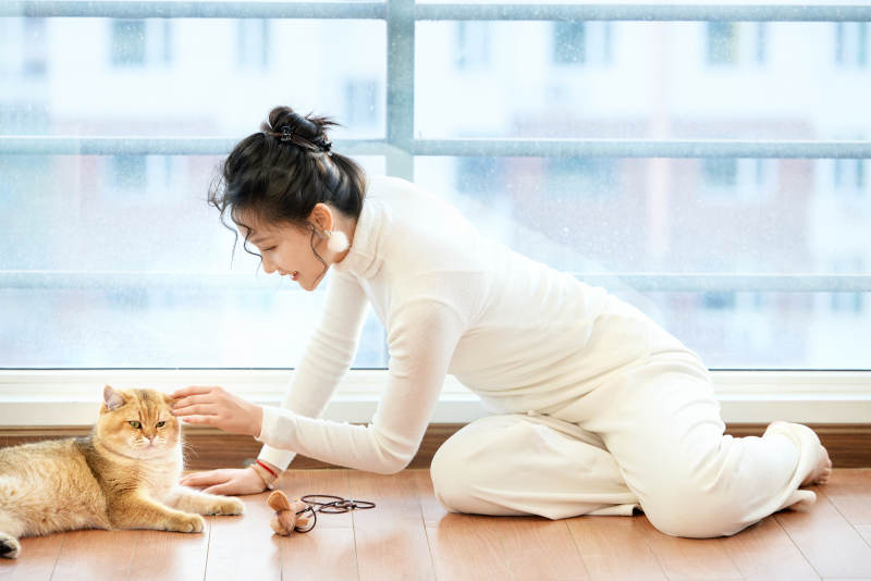 假日在家和猫咪嬉戏的亚洲美女