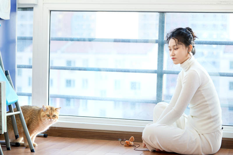 假日在家和猫咪嬉戏的亚洲美女
