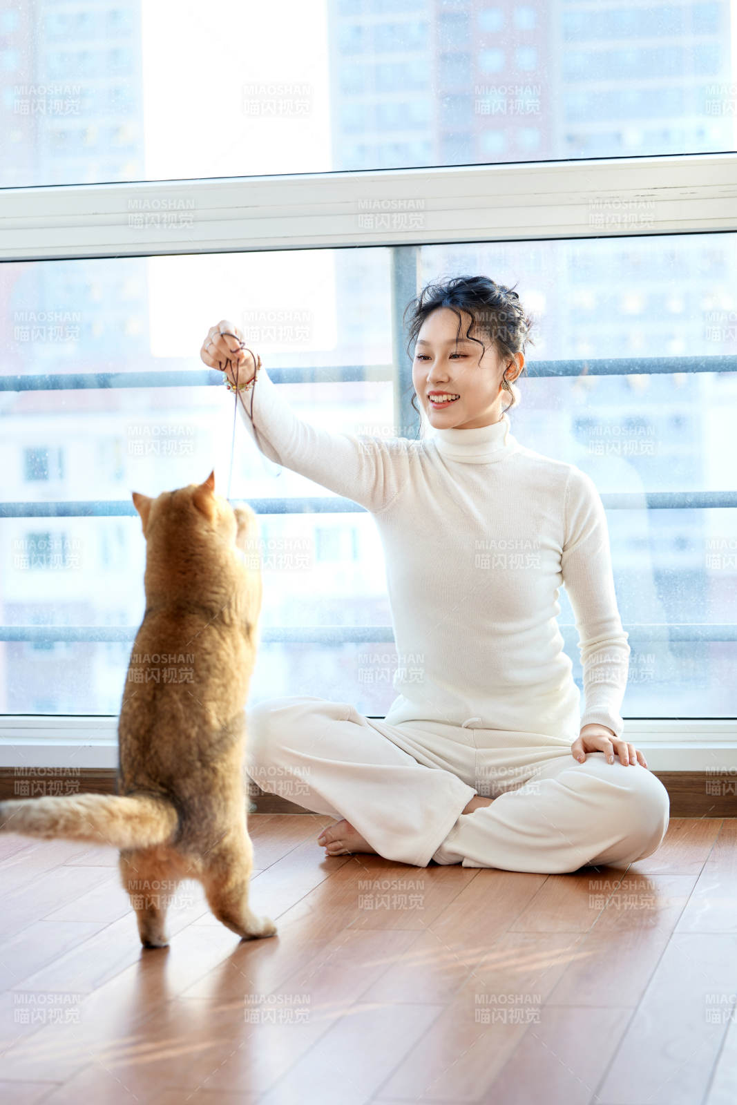 假日在家和猫咪嬉戏的亚洲美女图片